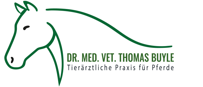 buyle.fotoartmedia.de